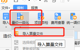 导入计价