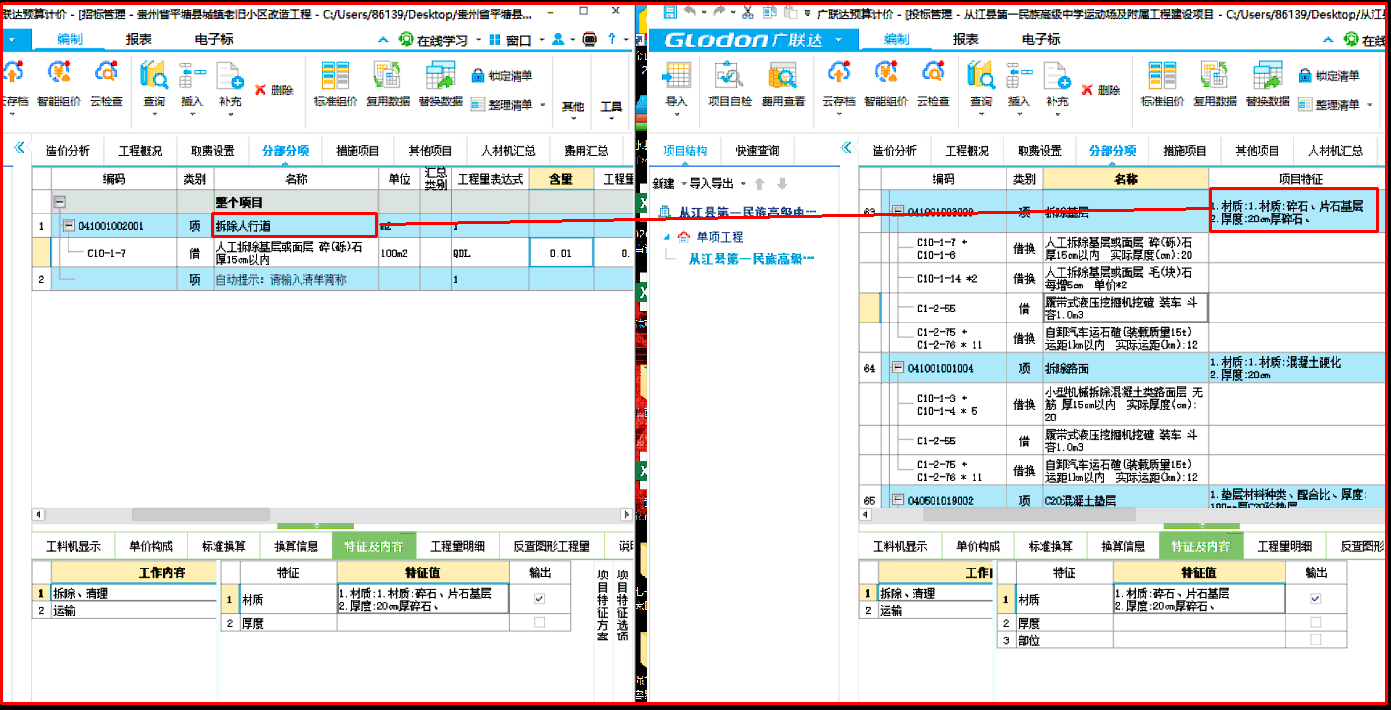 项目特征