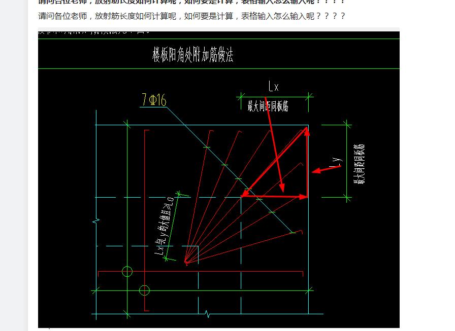 放射筋长度