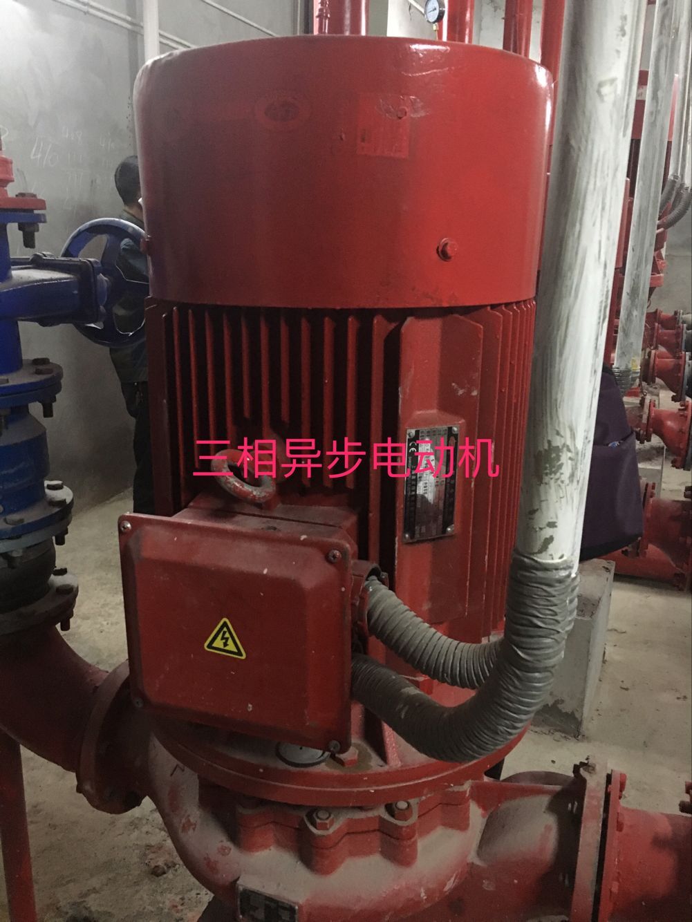 千赢官网首页登录入口服务新干线