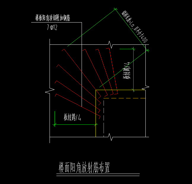 放射筋