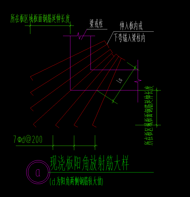 放射筋