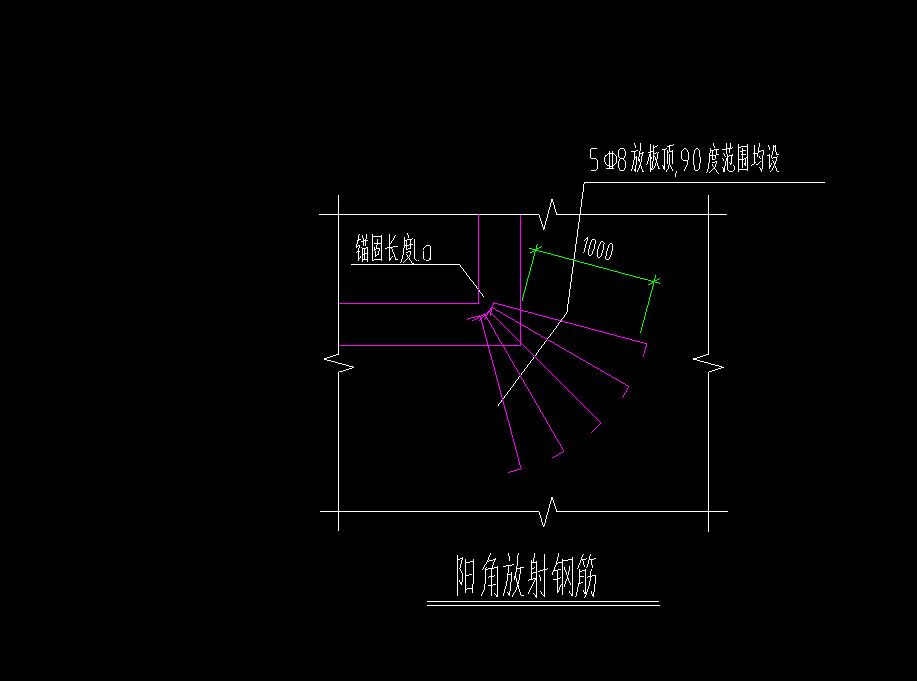 放射筋
