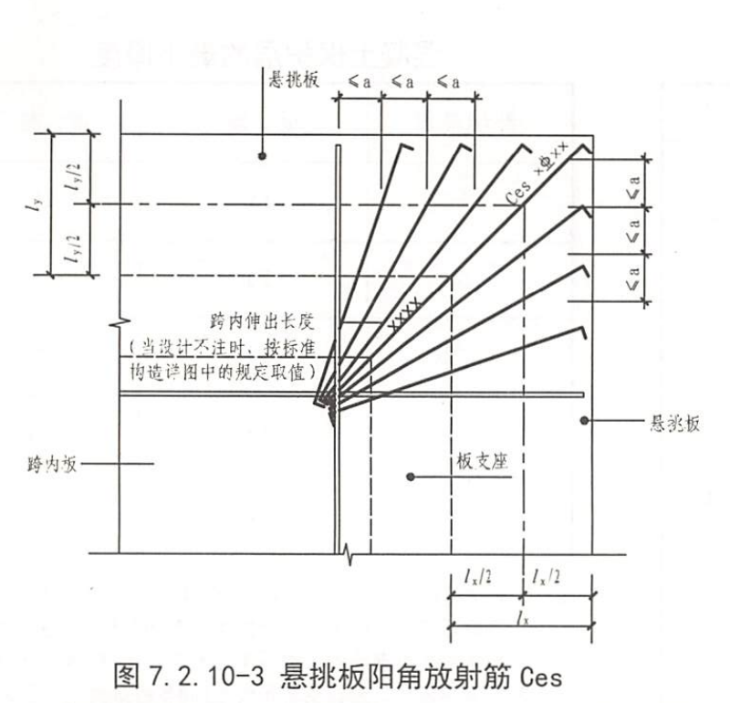 放射筋