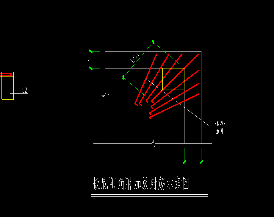 角筋