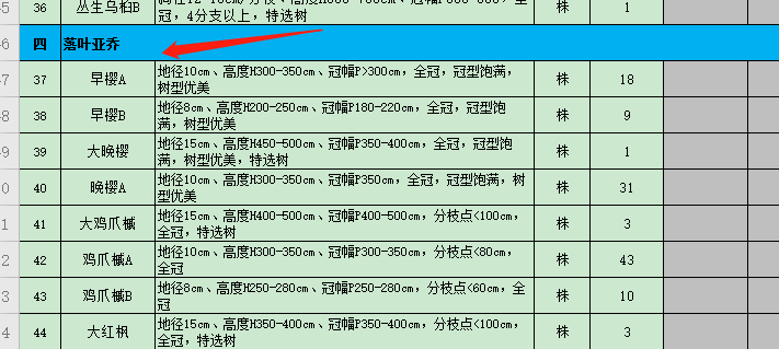 乔木