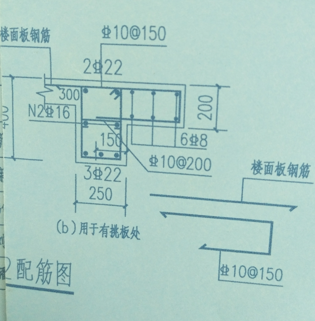 梯梁