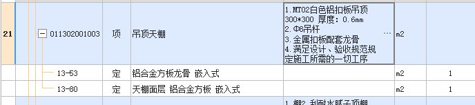项目特征