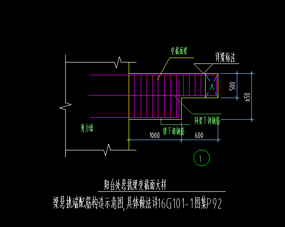 截面