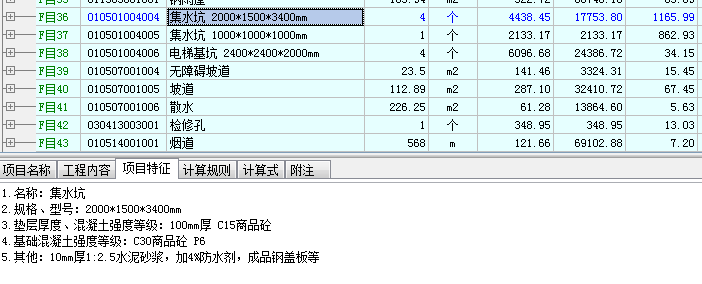 项目特征