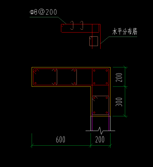 分布筋