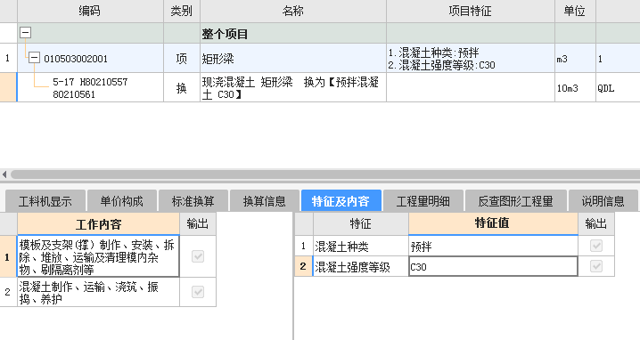 项目特征