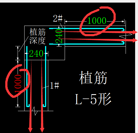 通长筋