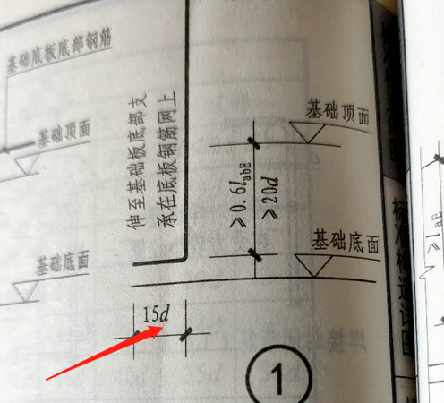 垂直筋