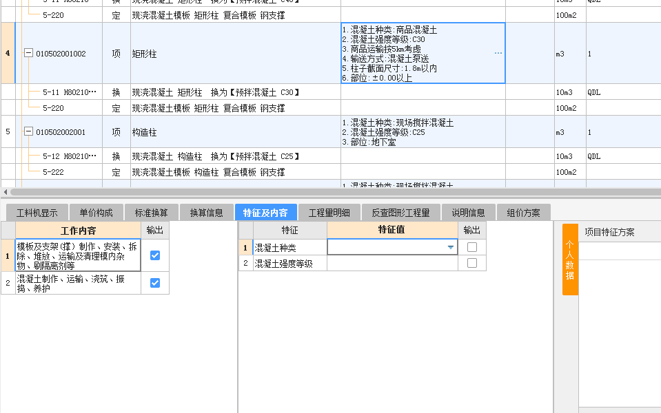 项目特征