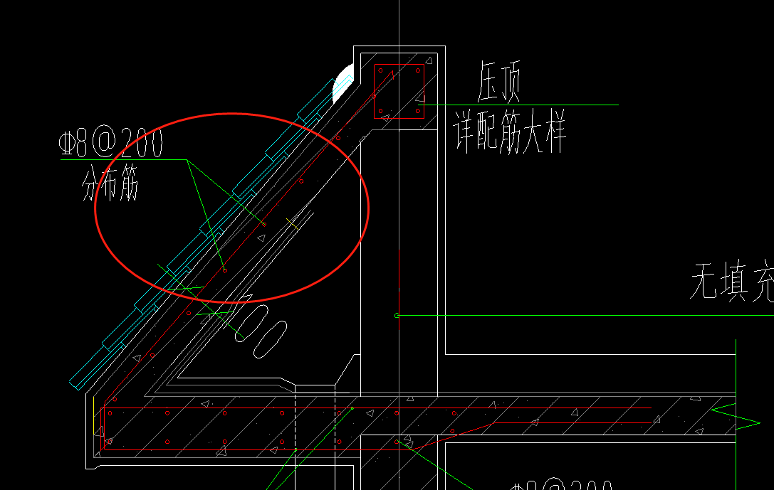 分布筋