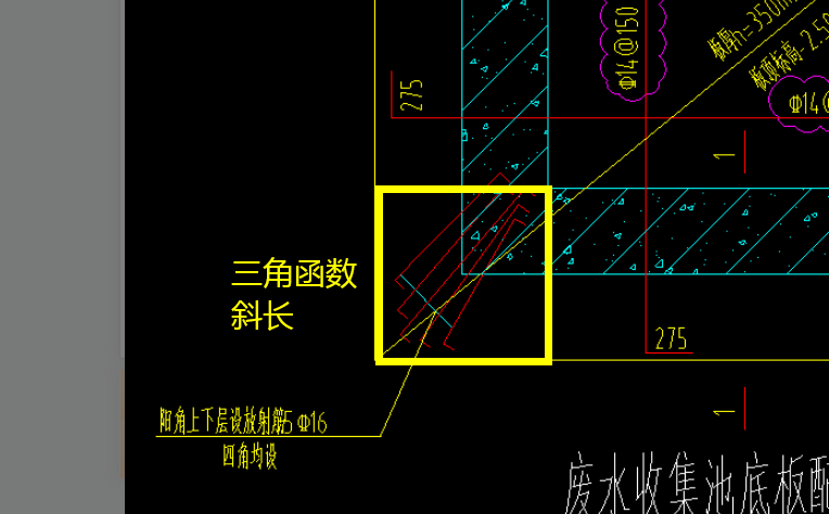 放射筋