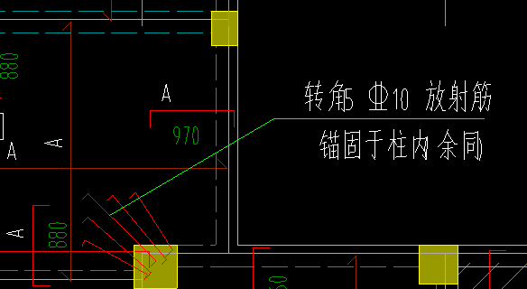 放射筋