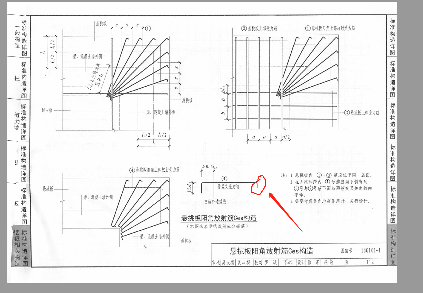 放射筋
