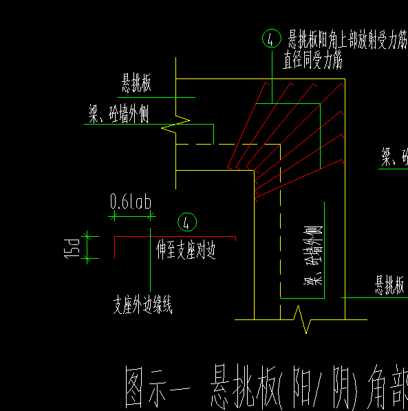 放射筋