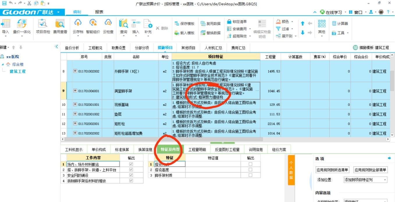 项目特征