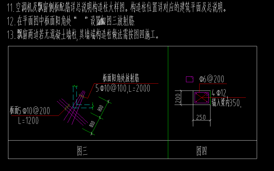 放射筋