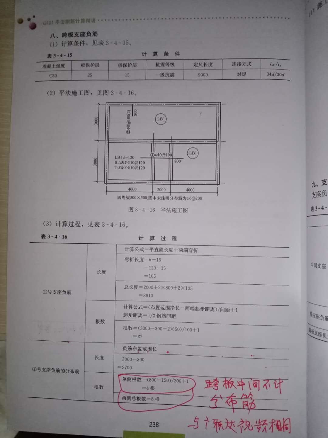 分布筋