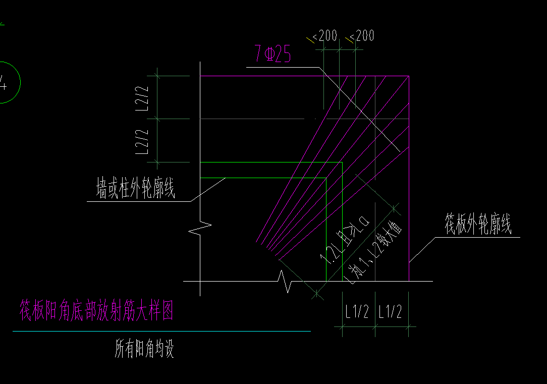 放射筋