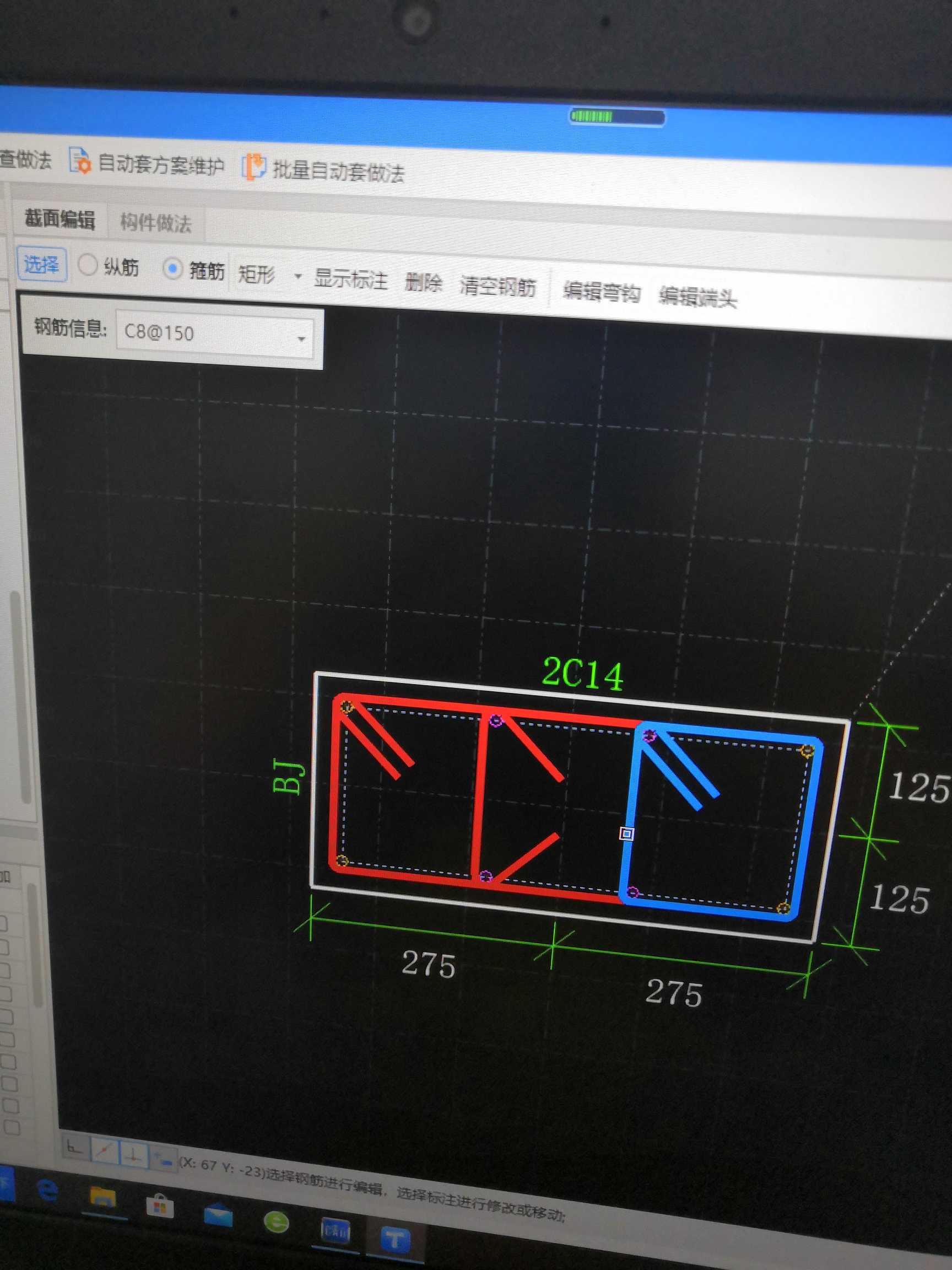 分布筋