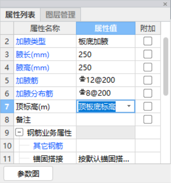 分布筋
