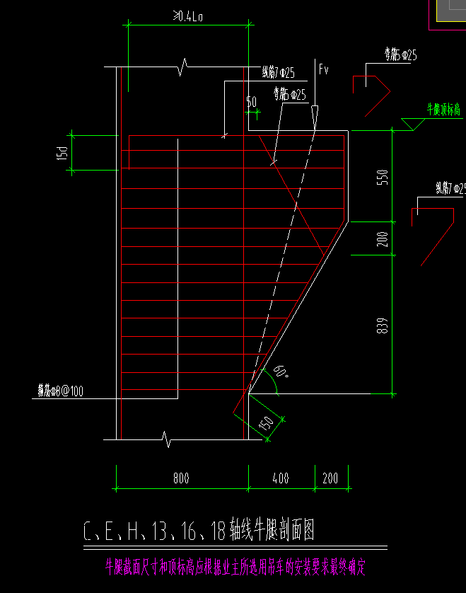 牛腿