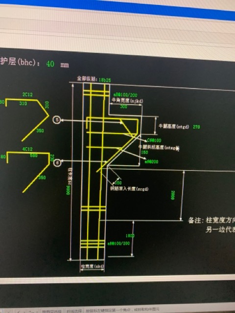 牛腿