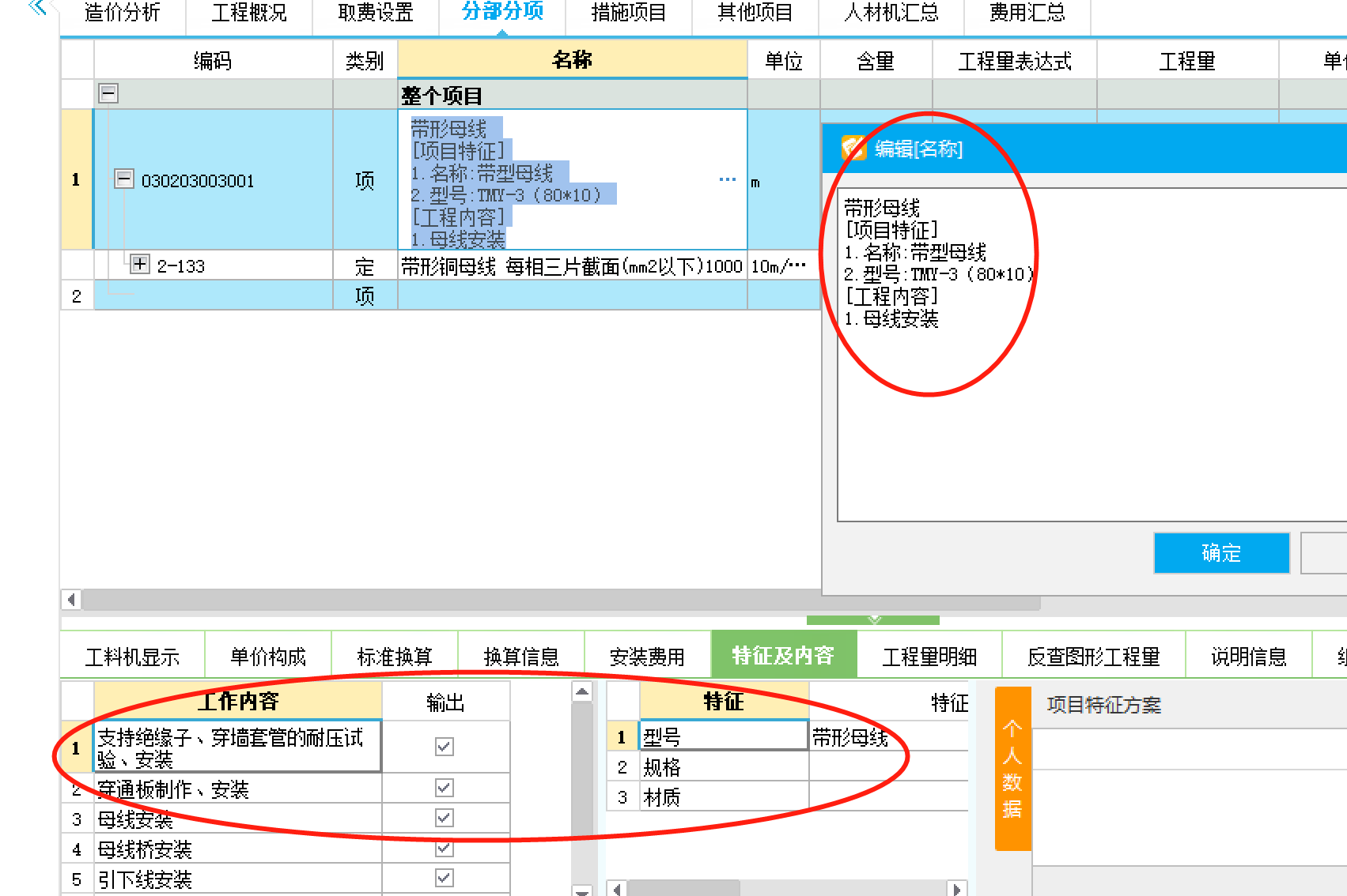 项目特征