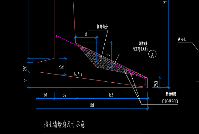 条基