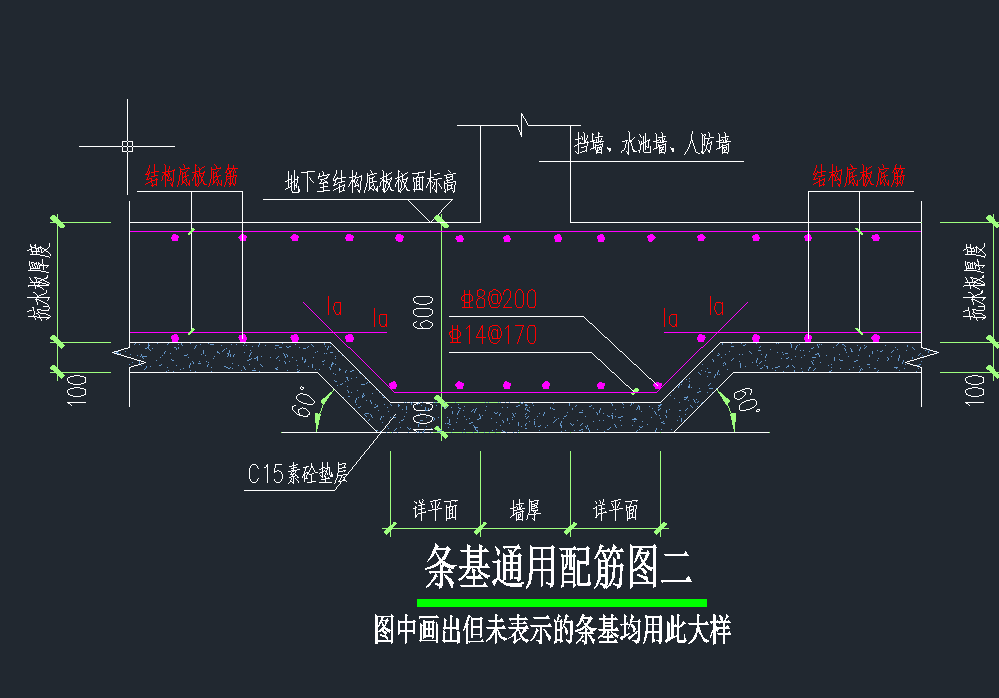 条基