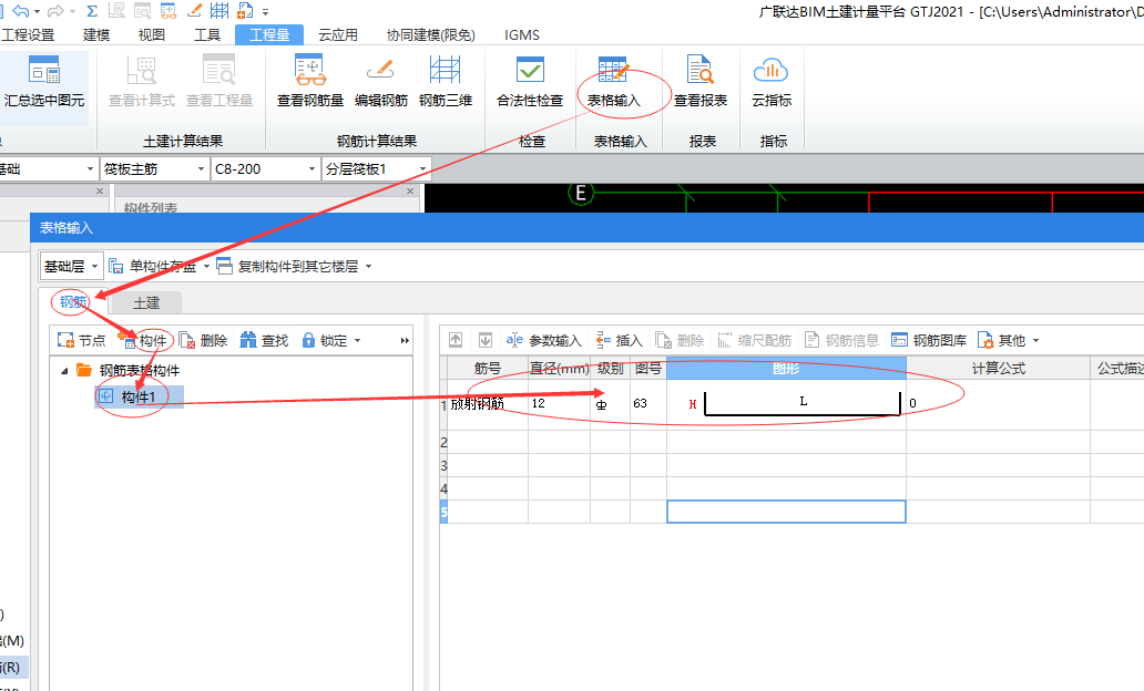 放射筋