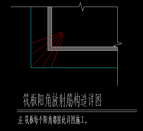 放射筋