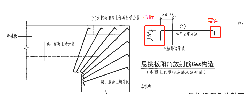 放射筋