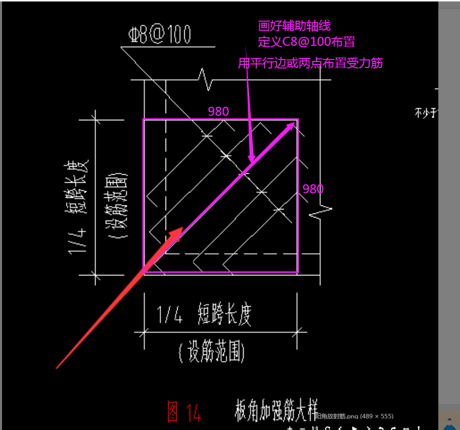 放射筋