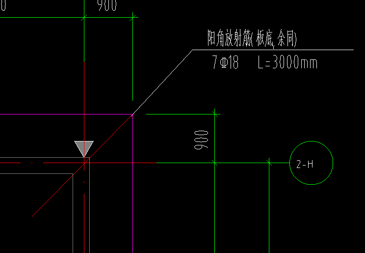 放射筋