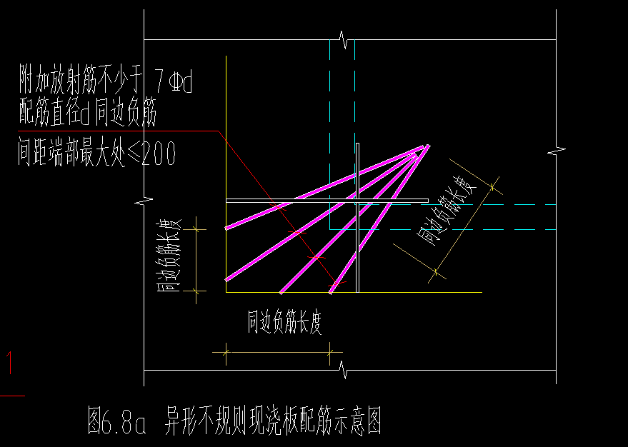 放射筋