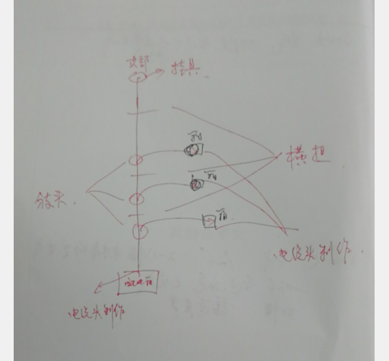 分支