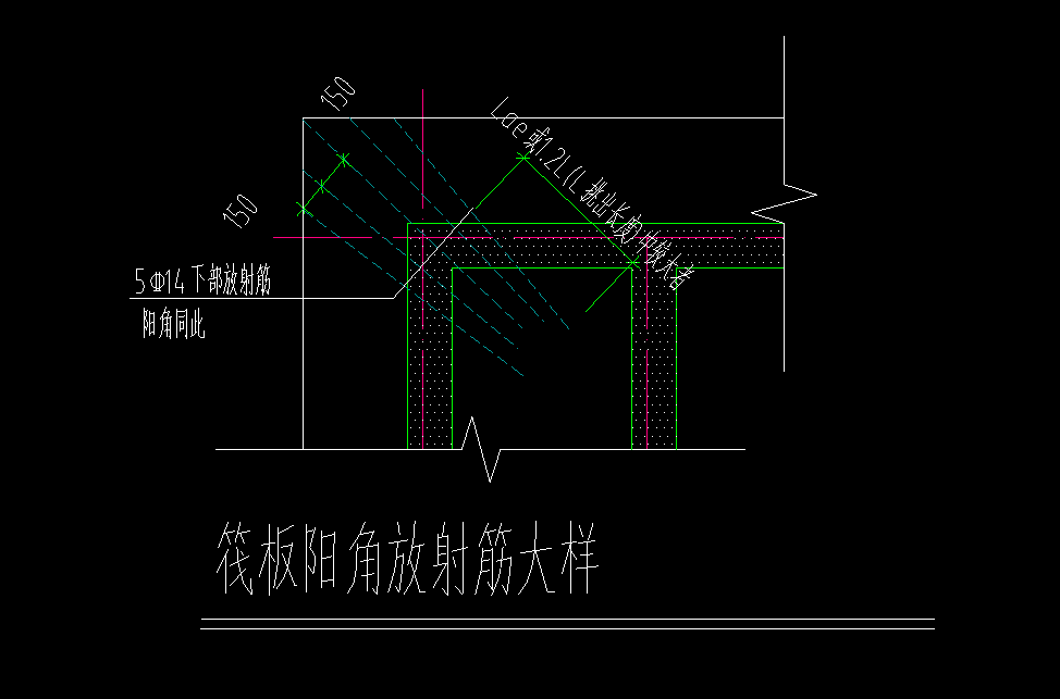 放射筋