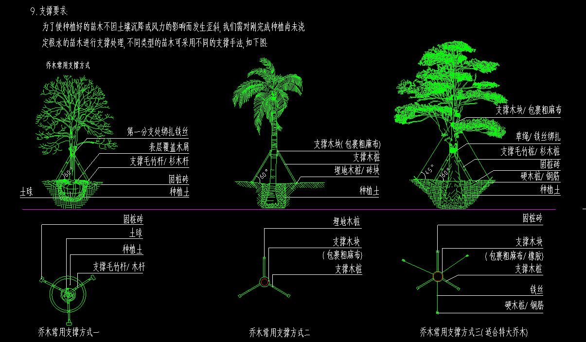 项目特征