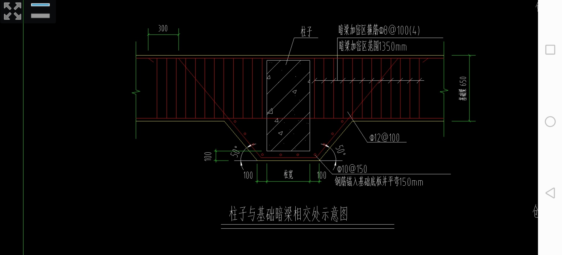 條基