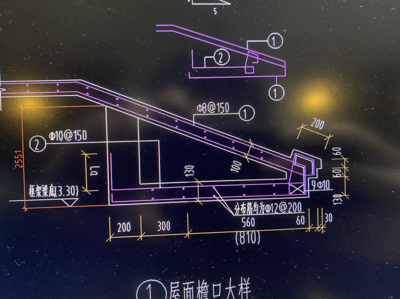 这个檐口我是用板画的请问钢筋应该布置哪些钢筋信息