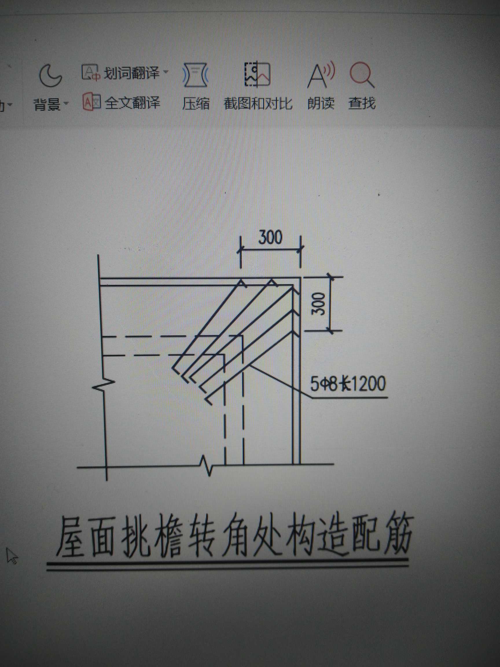 的放射筋