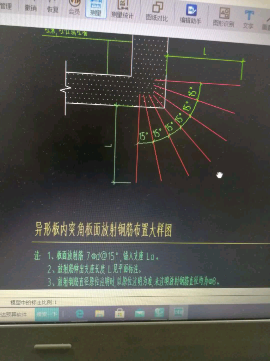 放射筋