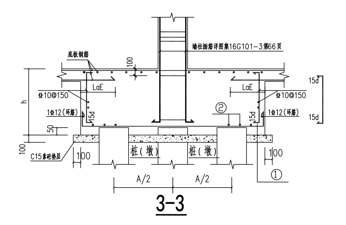 环筋