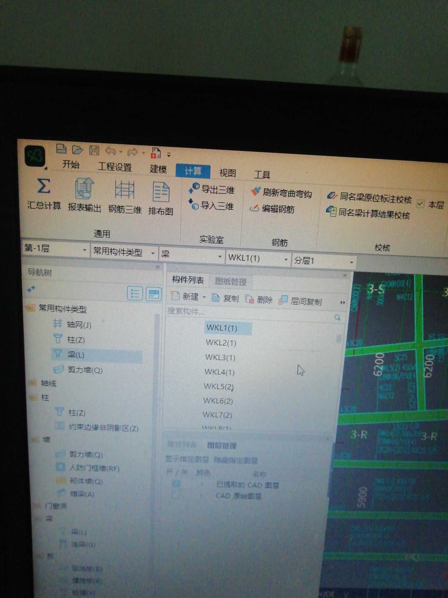 查看钢筋量